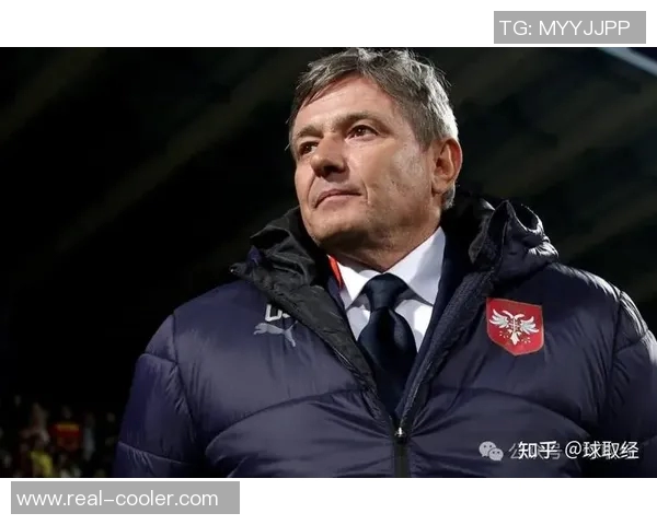 塞尔维亚足球明星在欧洲杯上的辉煌表现与未来展望分析