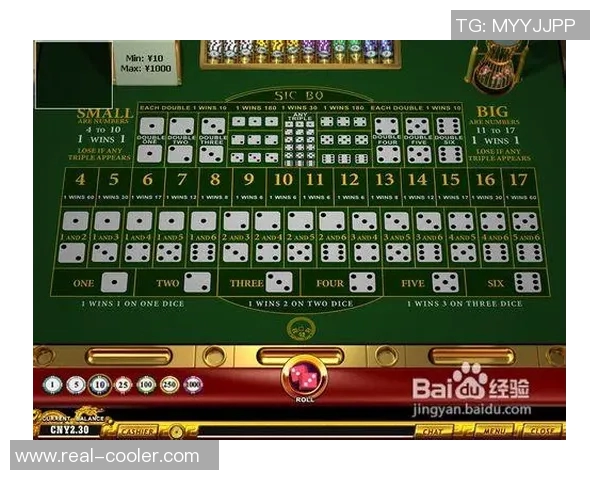 竞彩008巴西对战喀麦隆精彩分析与投注建议全攻略